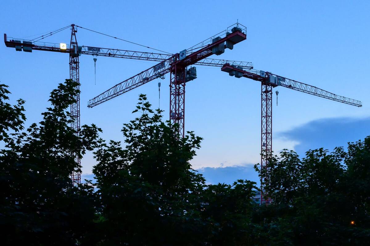 Baukräne vor Abendhimmel